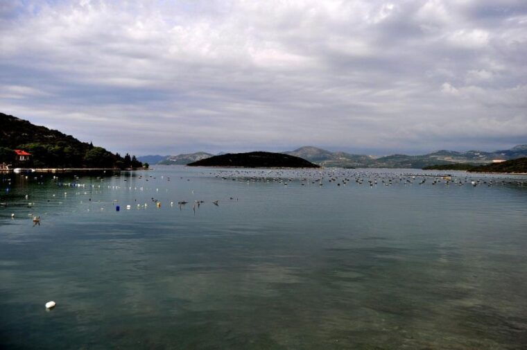 sip-savor-ston-and-peljesac-vineyards-extravaganza