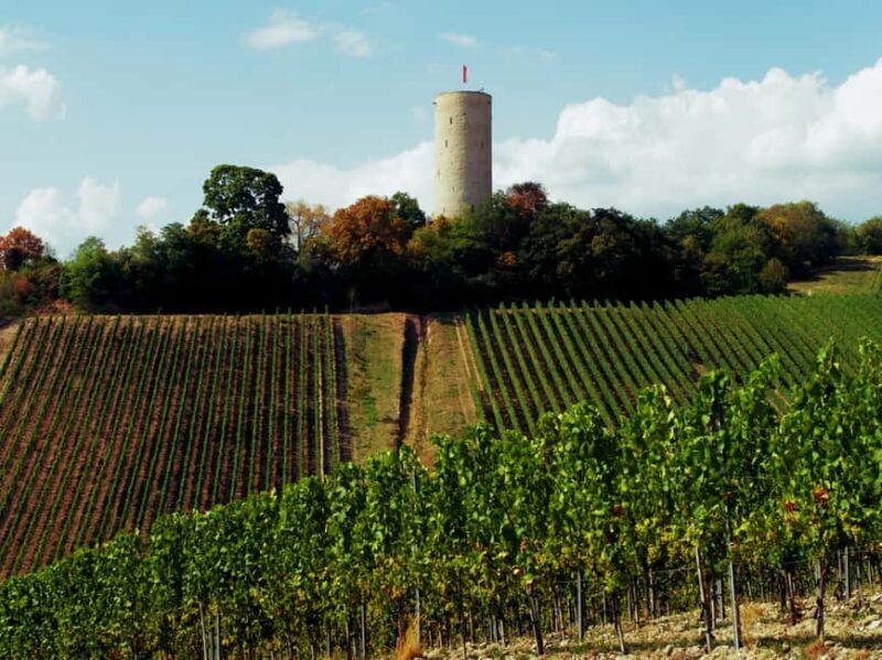 Sip Wine Along the Rhine - Grape Day out from Frankfurt - Value and Cost Considerations