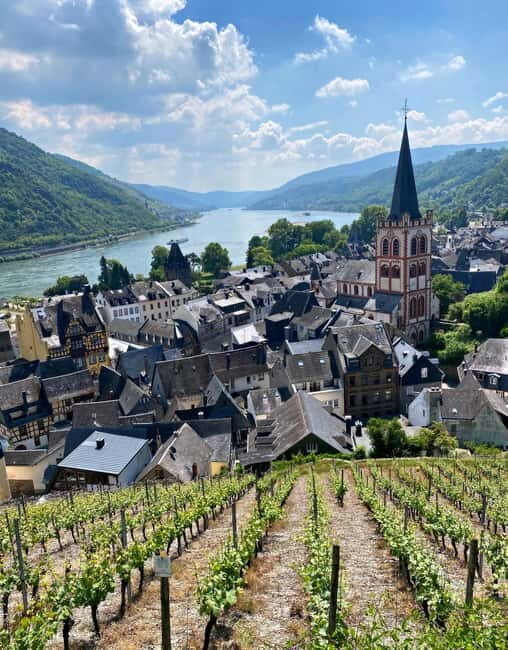 Sip Wine Along the Rhine - Grape Day out from Frankfurt - Exploring the Rhine Valley on a Grape Day Out