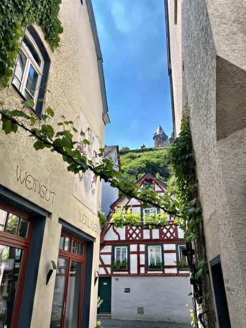 Sip Wine Along the Rhine - Grape Day out from Frankfurt - The Sum Up