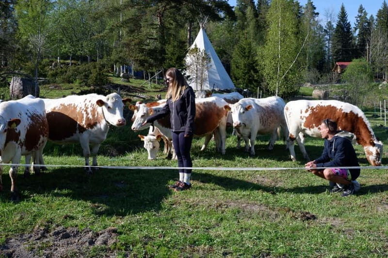Sipoo: Biodynamic farm visit with lunch - The Sum Up: Who Should Consider This Tour?