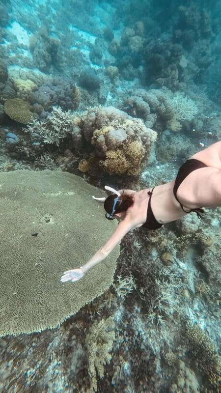 siquijor-freediving-adventure-with-lunch-and-beach-time