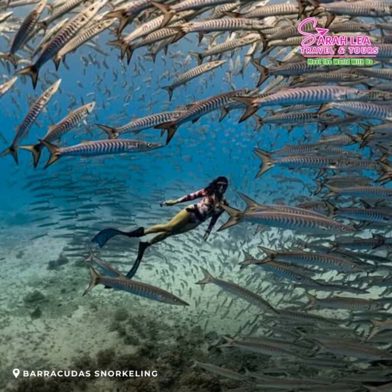 Siquijor: Island Adventure Day Trip with Snorkeling & Falls - An Honest Look at the Itinerary