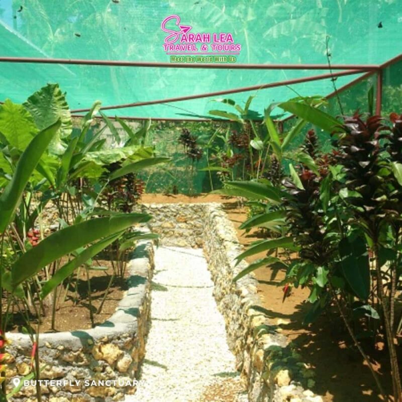 Siquijor: Mountain Highlights Adventure Tour - Final Thoughts: Is It Worth It?