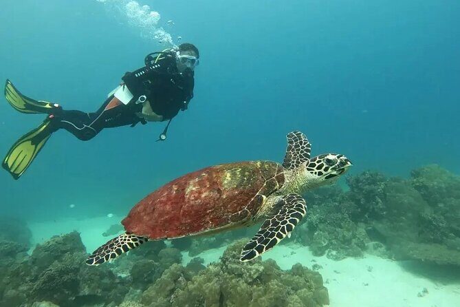Siquijor Scuba Diving for Beginners - Why Choose the Siquijor Scuba Diving for Beginners?
