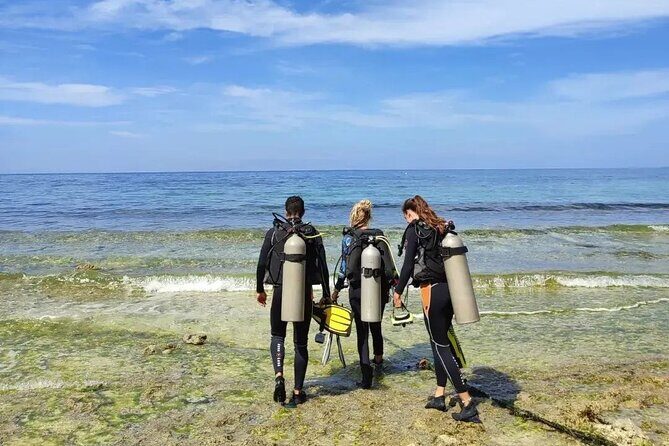 Siquijor Scuba Diving for Beginners - Logistics & Practicalities