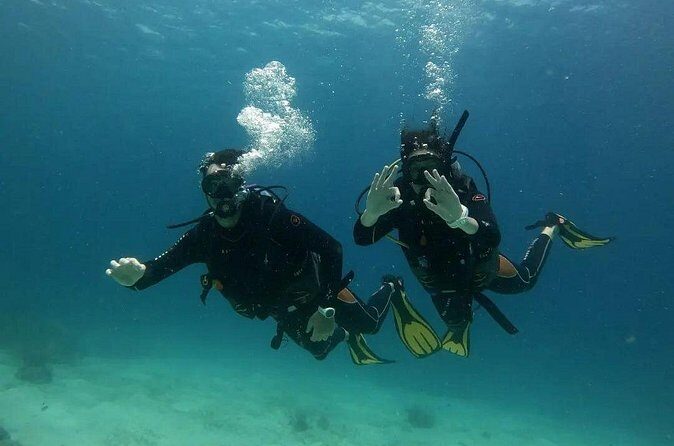 Siquijor Scuba Diving for Beginners - Who Would Love This Experience?