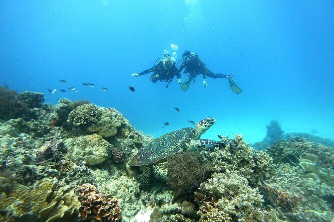 Siquijor Scuba Diving for Beginners - The Sum Up