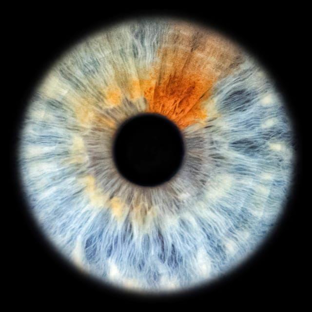 siracusa-iris-photography-experience