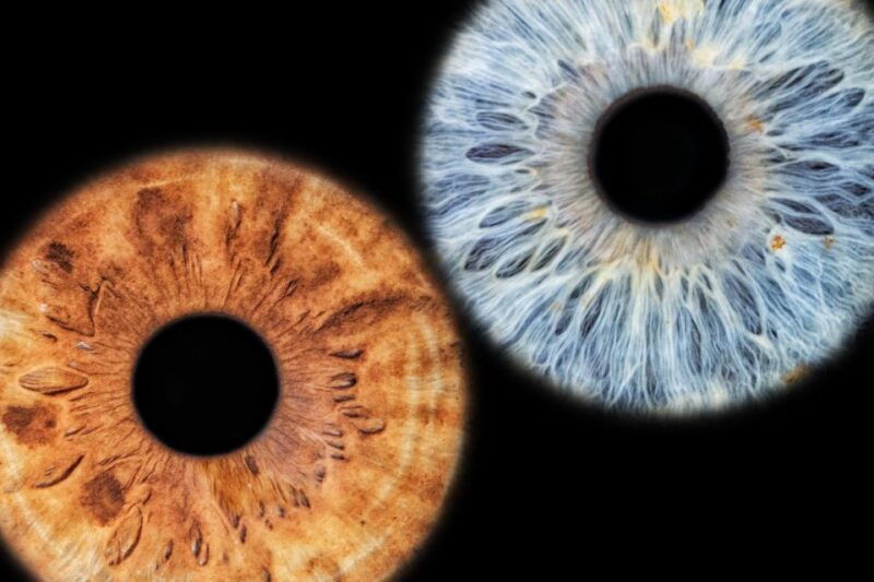 siracusa-iris-photography-experience
