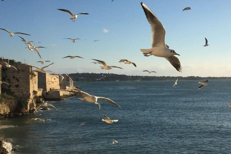 siracusa-ortygia-island-boat-tour-with-grotto-visit