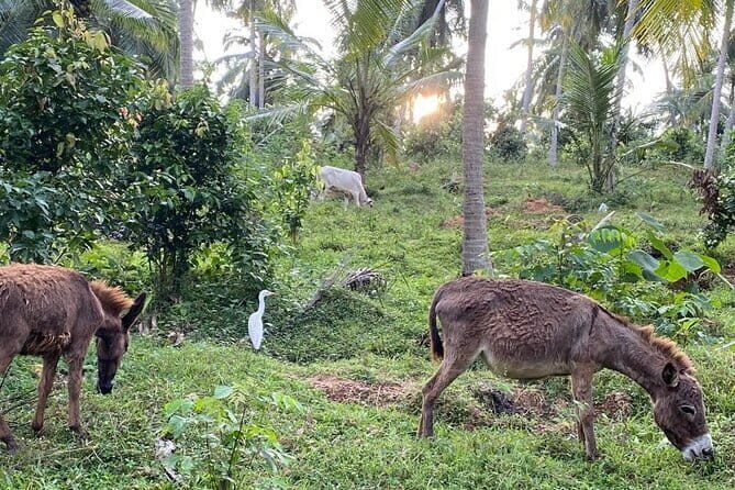 Sirin Park Eco Tour in Sri Lanka - Introduction