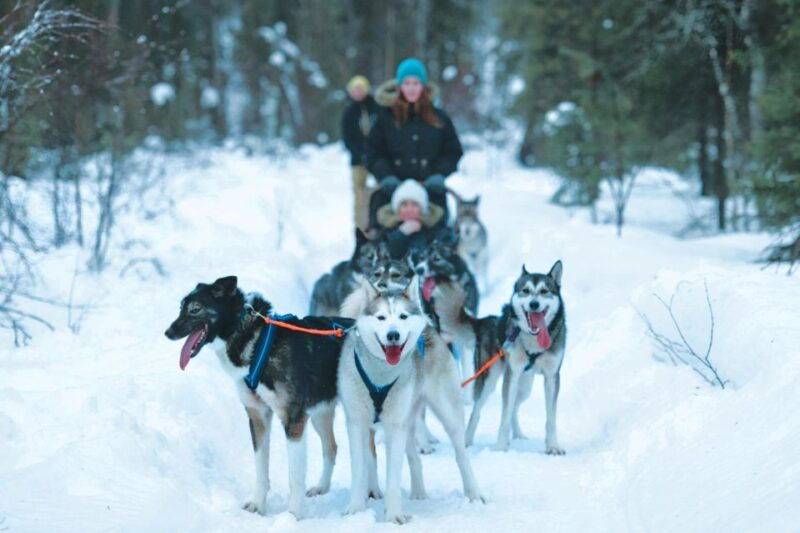 sirkka-husky-sled-ride-in-levi