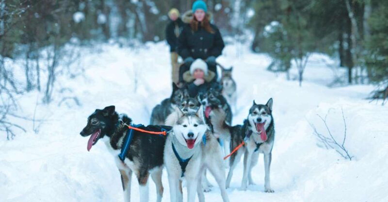 sirkka-husky-sled-ride-in-levi