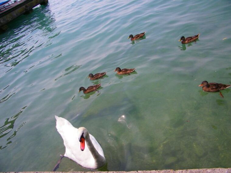 sirmione-private-tour-on-the-shores-of-lake-garda