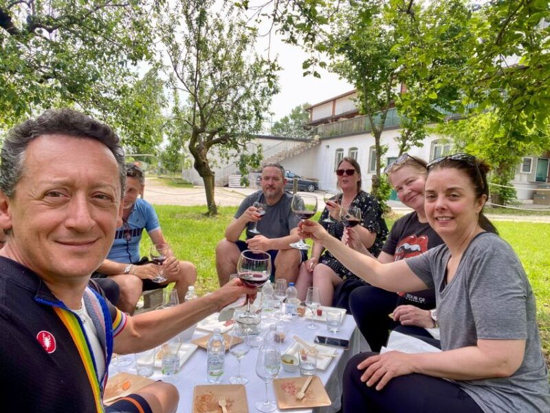 sirmione-vineyard-tour-with-lugana-wines-and-local-tastings