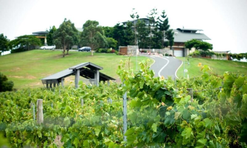 Sirromet Winery A Petit Pairing - Practical Details & Tips