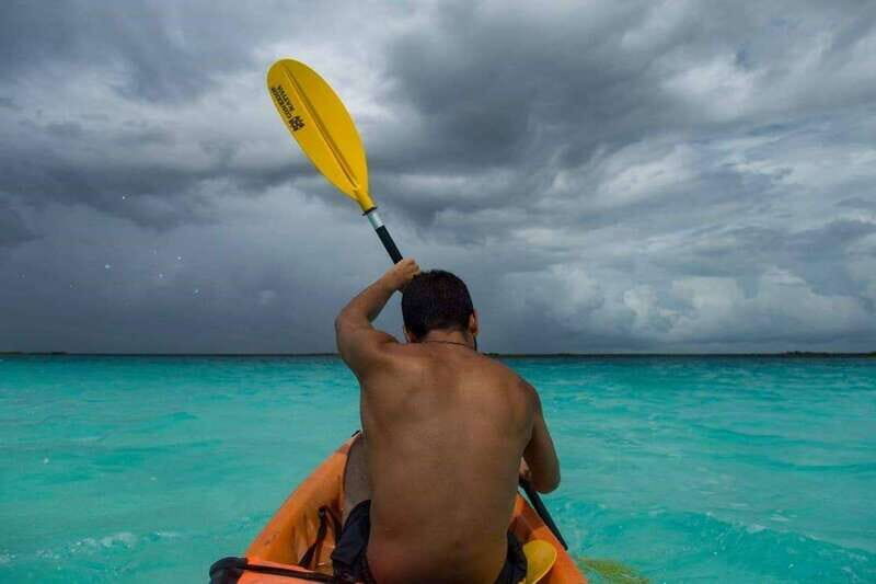 Sisal Kayak Through Mangroves and Bird Watching Tour - What Makes This Tour Stand Out