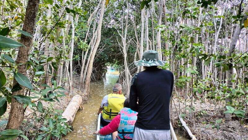 Sisal Kayak Through Mangroves and Bird Watching Tour - FAQ