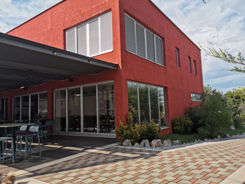 sisan-organic-winery-tour-and-tasting-experience