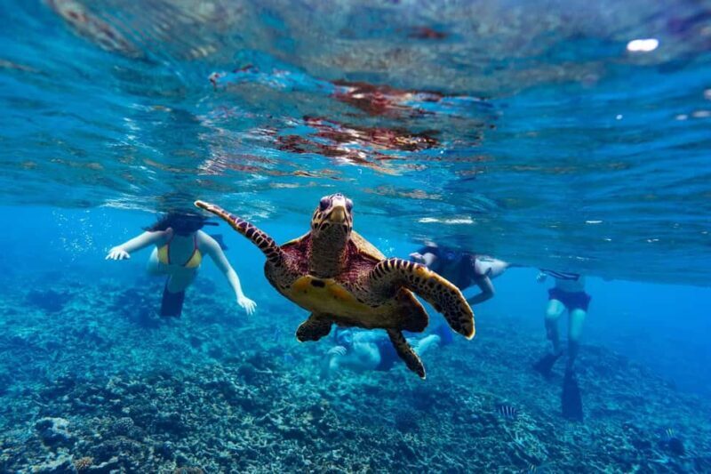 Sister, Coco, and Felicite Island: Seychelles Catamaran Tour - Who Will Love This Tour?
