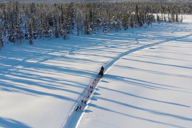 Sit Down Husky Ride Dog Sled Tour in Kiruna - Who Will Love This Tour?