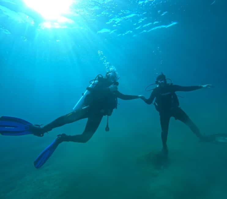 Sithonia: 1 Guided Shore Dive for Certified Divers - The Dive Itinerary: What to Expect