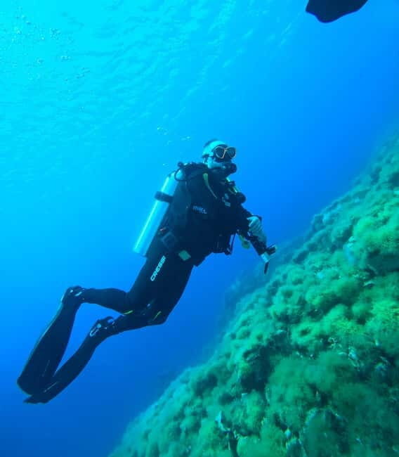 Sithonia: 1 Guided Shore Dive for Certified Divers - What’s Included and What to Keep in Mind