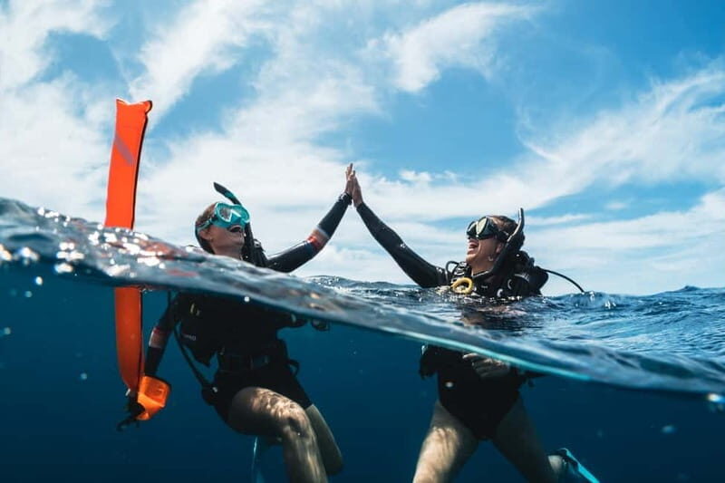 Sithonia: Half-Day Scuba Diving 2 Guided Shore Dives - Who Might Want to Consider Other Options