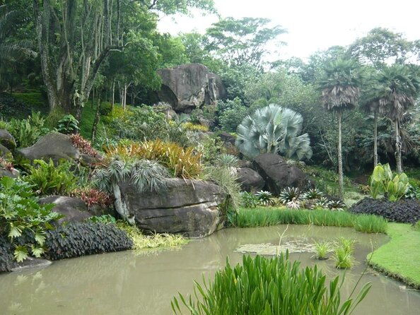 sitio-roberto-burle-marx-guided-tour-ticket-and-transfer