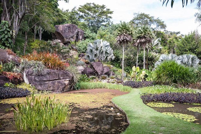 sitio-roberto-burle-marx-guided-tour-ticket-and-transfer