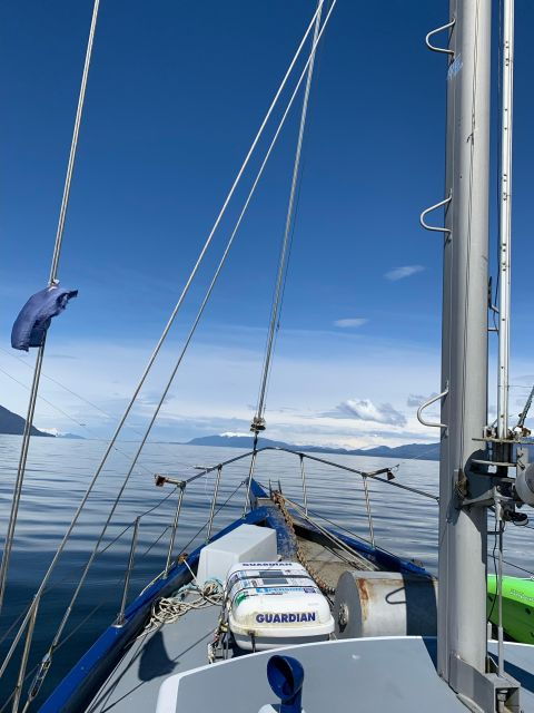 sitka-boat-tours-whale-watching-hot-springs-kayaking