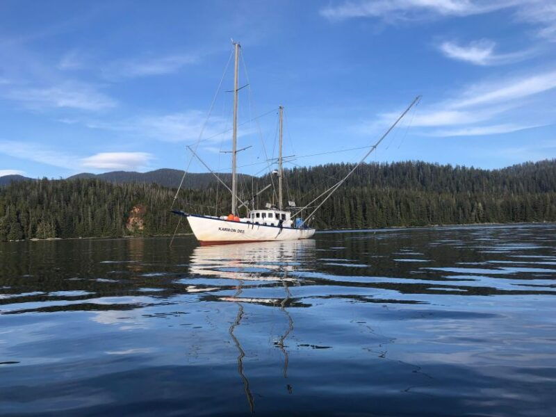 sitka-boat-tours-whale-watching-hot-springs-kayaking