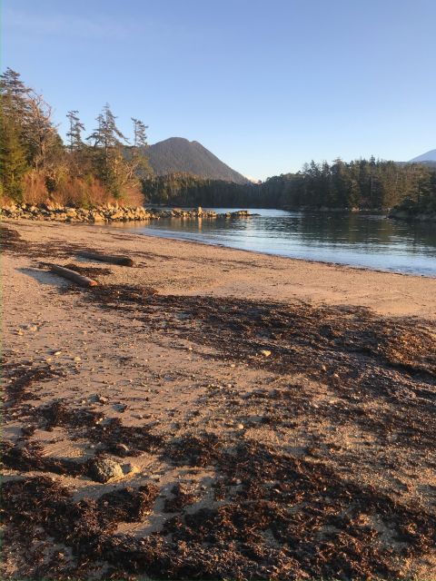 sitka-boat-tours-whale-watching-hot-springs-kayaking