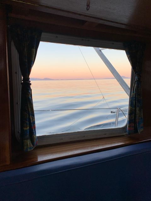 sitka-boat-tours-whale-watching-hot-springs-kayaking