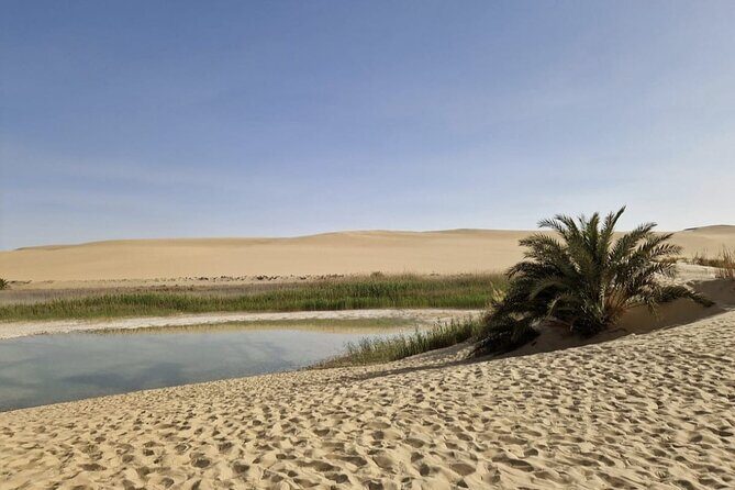 Siwa Oasis All Inclusive Tour From Cairo - A Deep Dive into the Siwa Oasis Experience