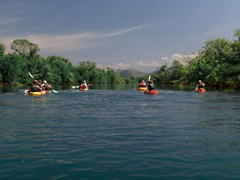 Skadar Lake: 4-Hour Guided tours on Kayak - Key Points