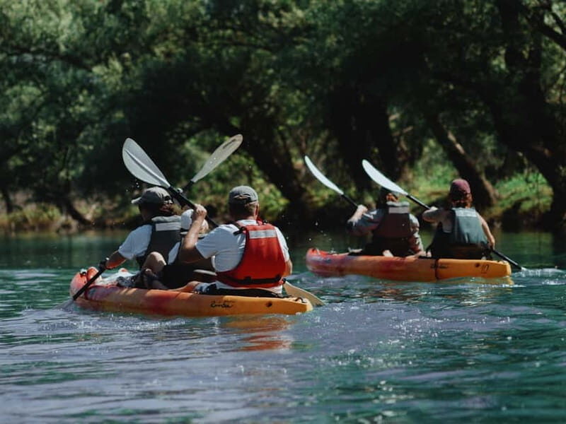 Skadar Lake: 4-Hour Guided tours on Kayak - Frequently Asked Questions