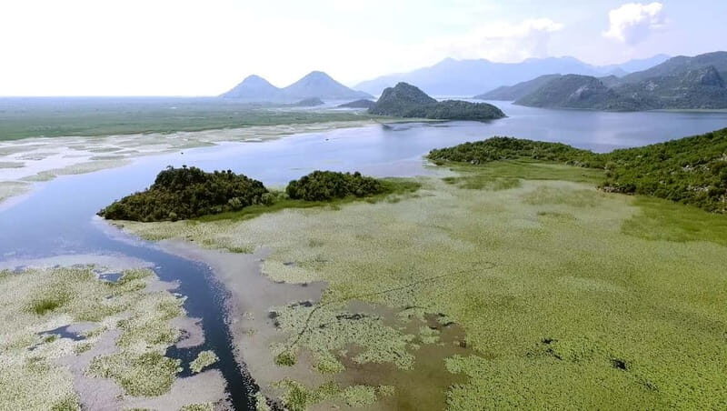 SKADAR LAKE: A national park with amazing flora and fauna! - Exploring Skadar Lake: What to Expect from the Tour