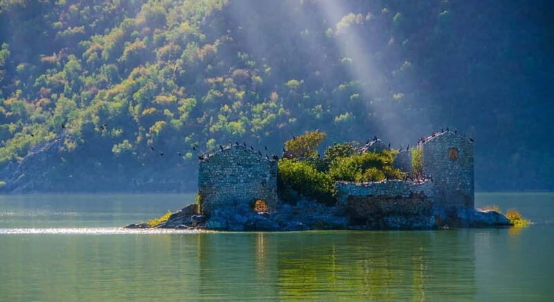 Skadar Lake Boat Tour with Transfer from Podgorica - What Makes This Tour Stand Out?