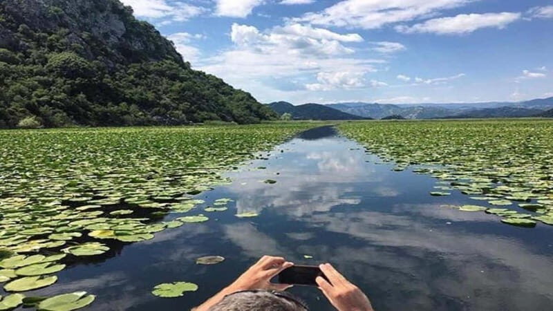Skadar Lake: Discover the Extraordinary with Our Boat Tours - Exploring Skadar Lake: What to Expect from the Tour