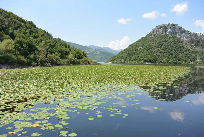Skadar Lake full-day tour from Kotor - What to Expect from the Tour