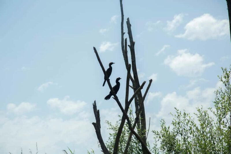 Skadar Lake: Historic & Nature sightseeing with small group - Final Thoughts
