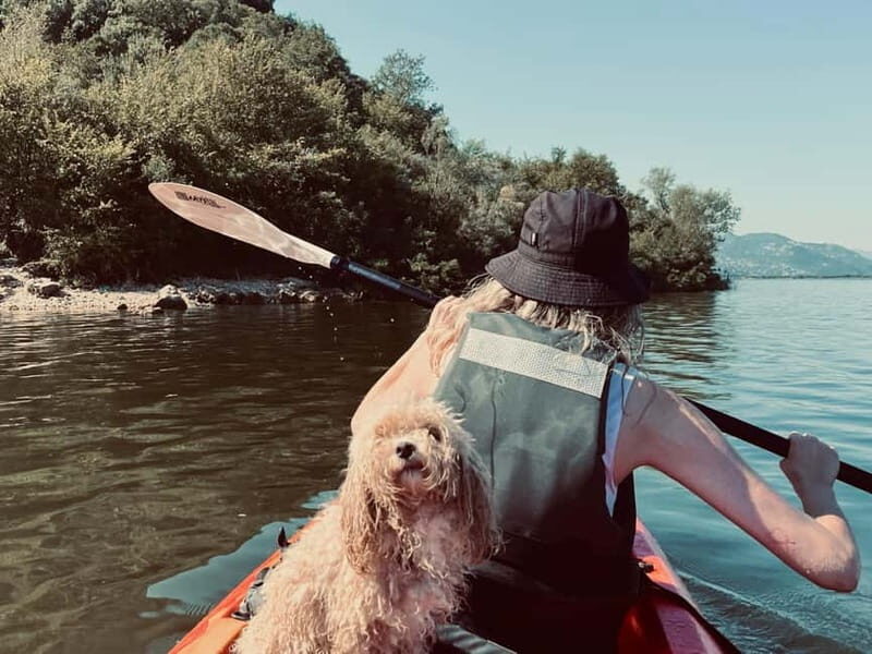 Skadar Lake: Kayak & Paddle board Rental - Why the Equipment and Safety Measures Matter