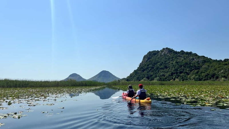 Skadar Lake: Kayak & Paddle board Rental - The Sum Up