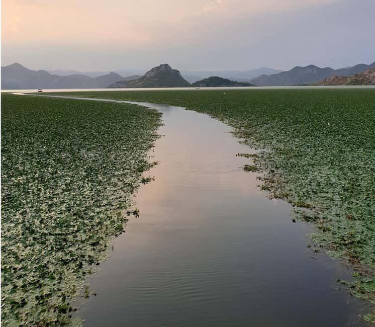 Skadar Lake kayak rent: A Journey Through Tranquility - Who Should Consider This Experience?