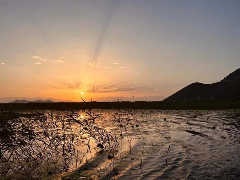 Skadar Lake Private Boat Tour with Wine Tasting - An In-Depth Look at the Lake Skadar Private Boat Tour