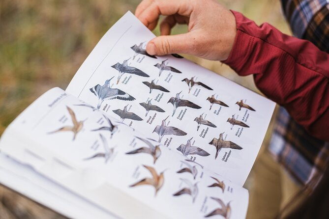 skagit-valley-birding-deception-pass-day-tour-from-seattle