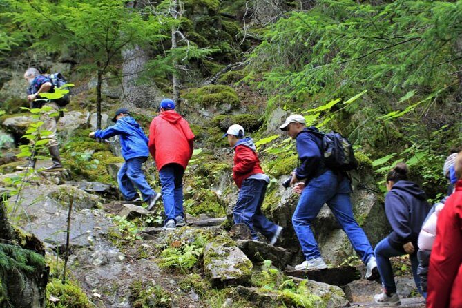 Skagway Shore Excursion Chilkoot Trail Hike and Float Tour - What to Expect from the Tour