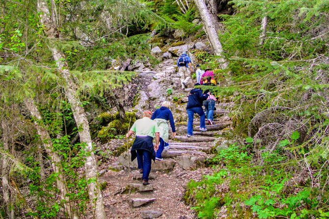 Skagway Shore Excursion Chilkoot Trail Hike and Float Tour - The Value of This Tour